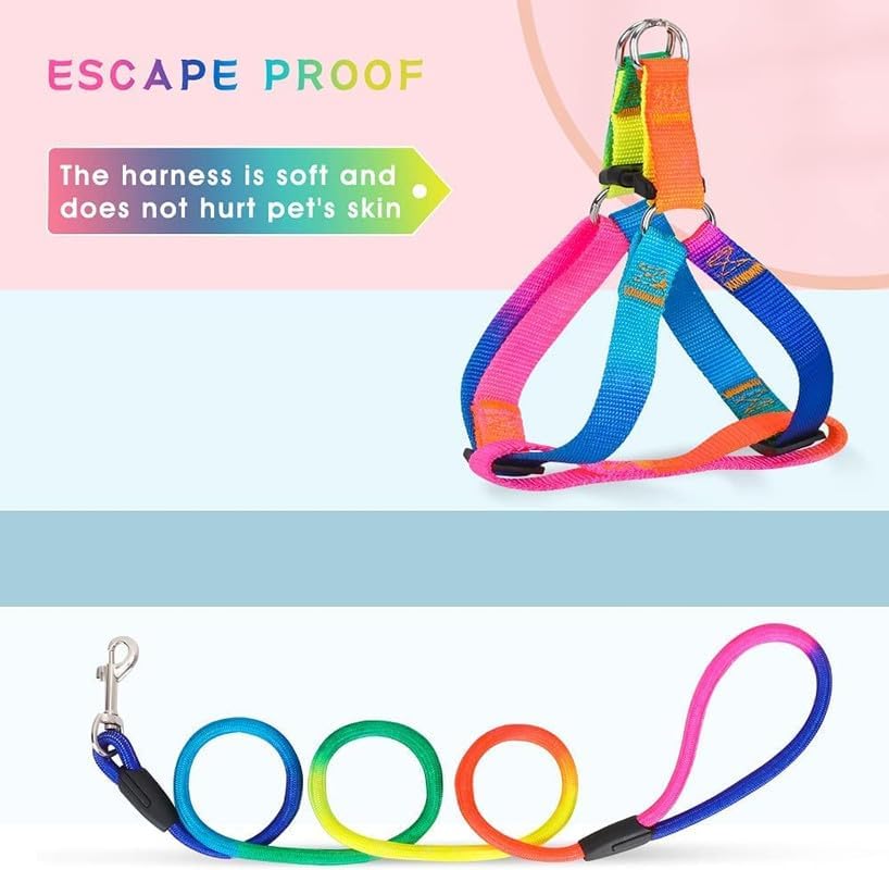 Rainbow Adjustable Step-In Dog Harness + Leash Set (Small)