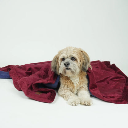 Reversible pet blanket by Loom and Latch, featuring soft grey and maroon furry fabric for dogs and cats.