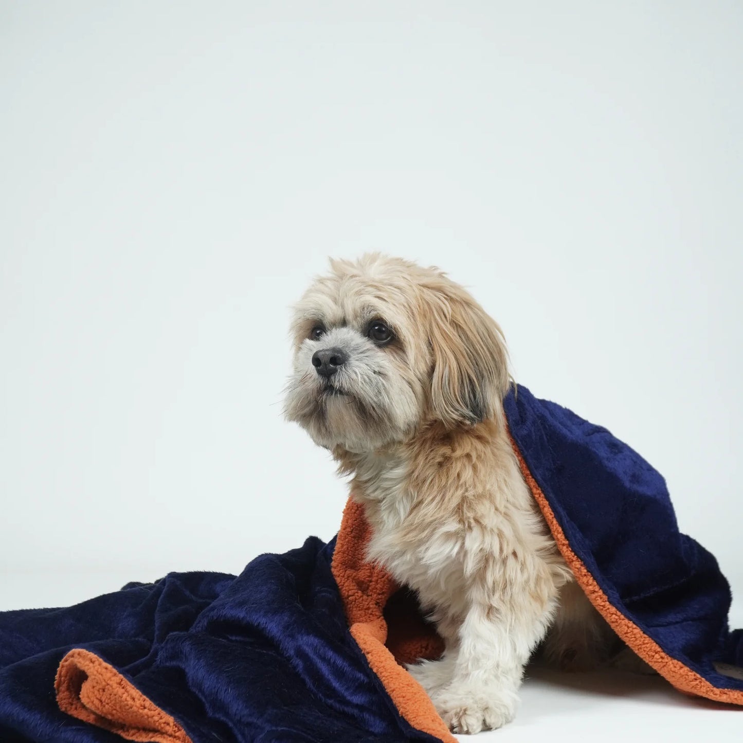 Reversible Loom and Latch pet blanket with navy and rust soft furry fabric, suitable for dogs and cats.