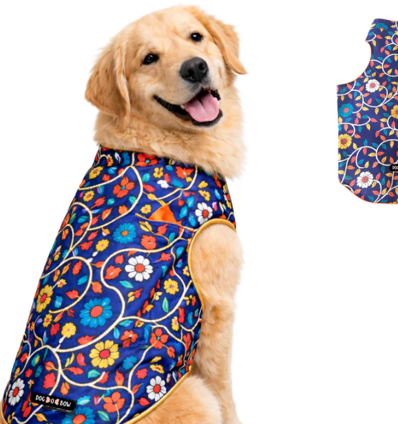Royal blue floral pet sherwani by Loom and Latch, lightweight festive outfit with easy velcro closure, showcased on a pet model.