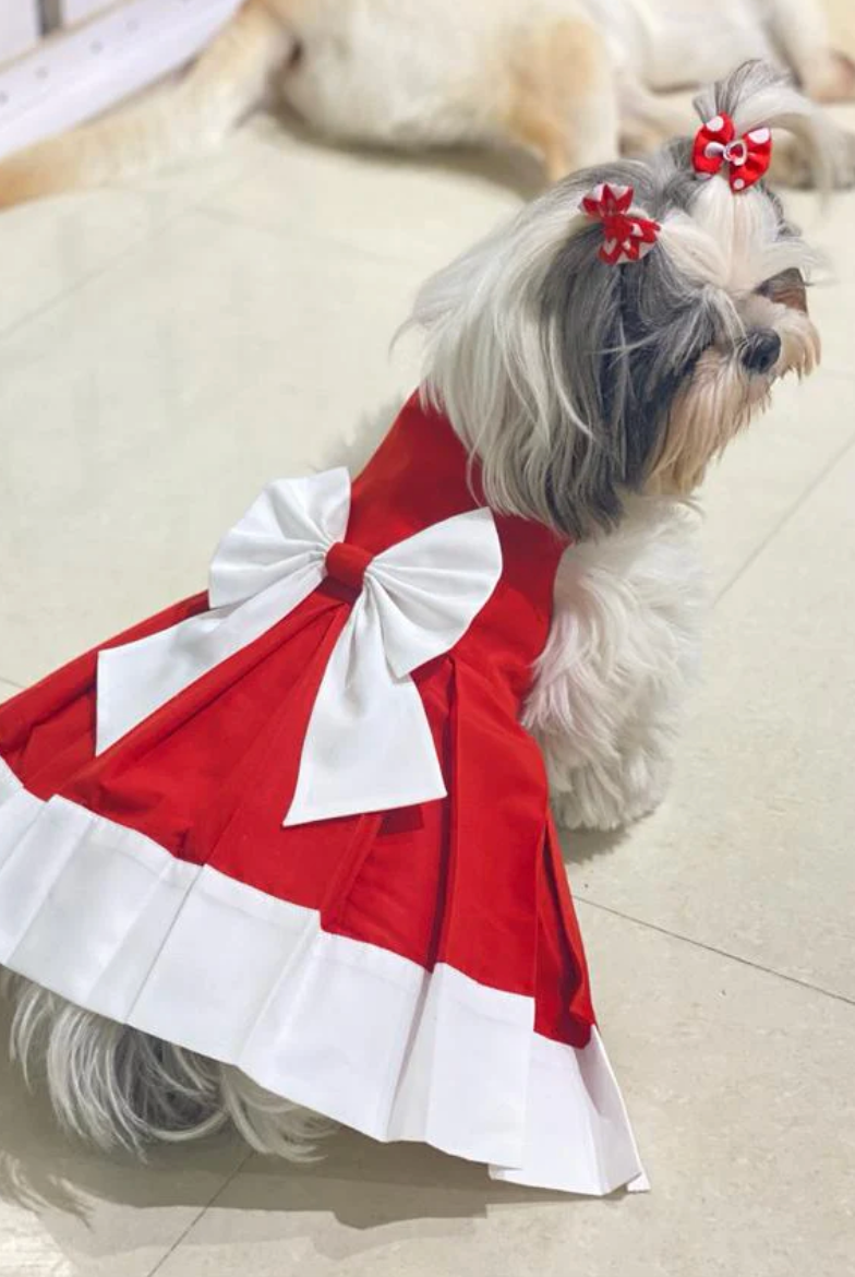Loom and Latch festive pet dress for small dogs, lightweight and comfortable for special occasions, featuring a colorful, decorative design.
