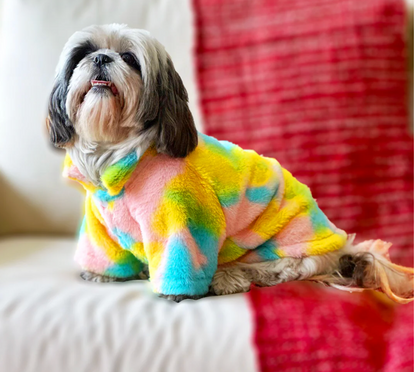 Colorful rainbow fur pet jacket from Loom and Latch, lightweight and soft, perfect for comfortable everyday wear for small dogs.