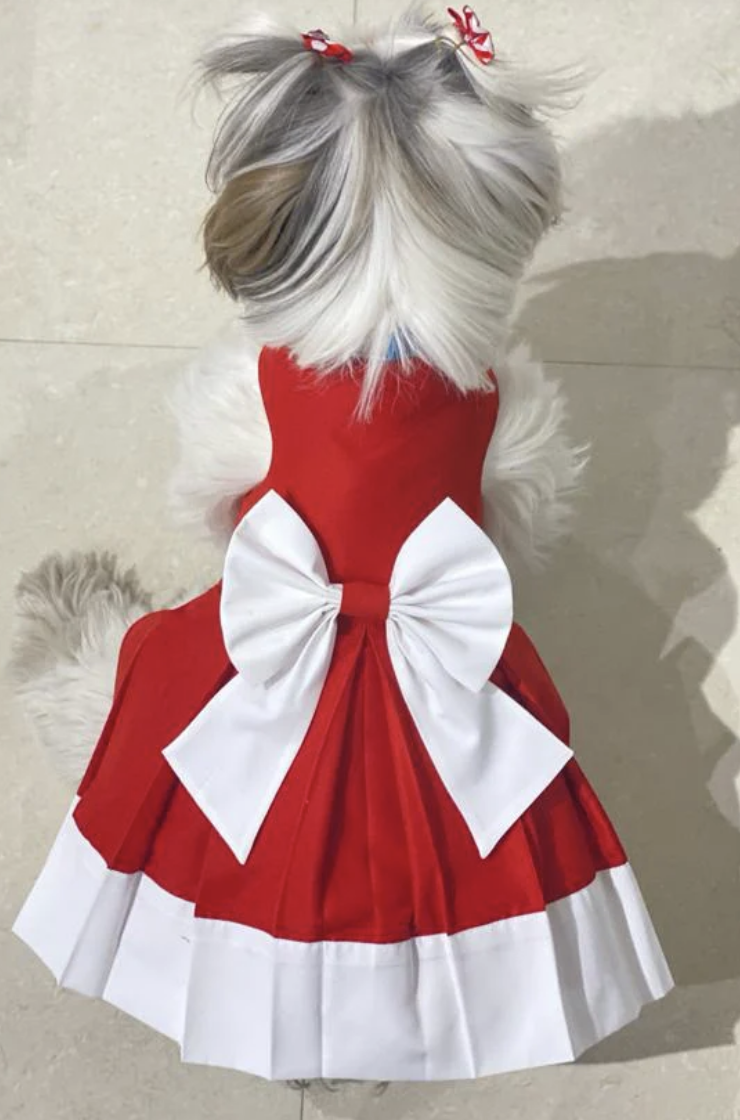 Festive Pet Dress – Lightweight Comfort for Special Occasions – Loom and Latch