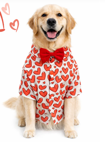 Red heart print dog shirt by Loom and Latch, lightweight and comfortable for everyday wear, shown on a small dog.