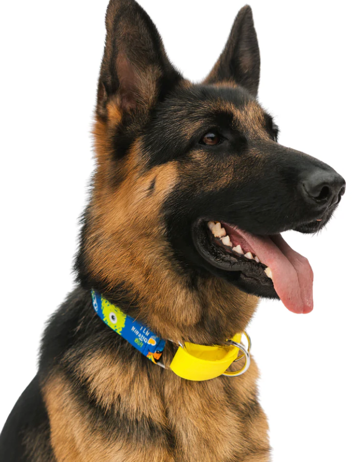 Loom and Latch large monster print martingale dog collar with adjustable fit and secure closure, featuring colorful monster pattern.