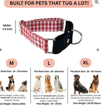 Red gingham martingale dog collar by Loom and Latch, adjustable and secure for everyday use, shown on a dog.