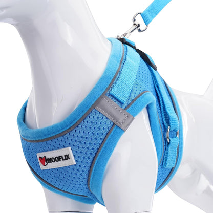 Reflective Soft-Padded Dog & Cat Harness + 5ft Leash Set (4.5–7 kg, Blue)