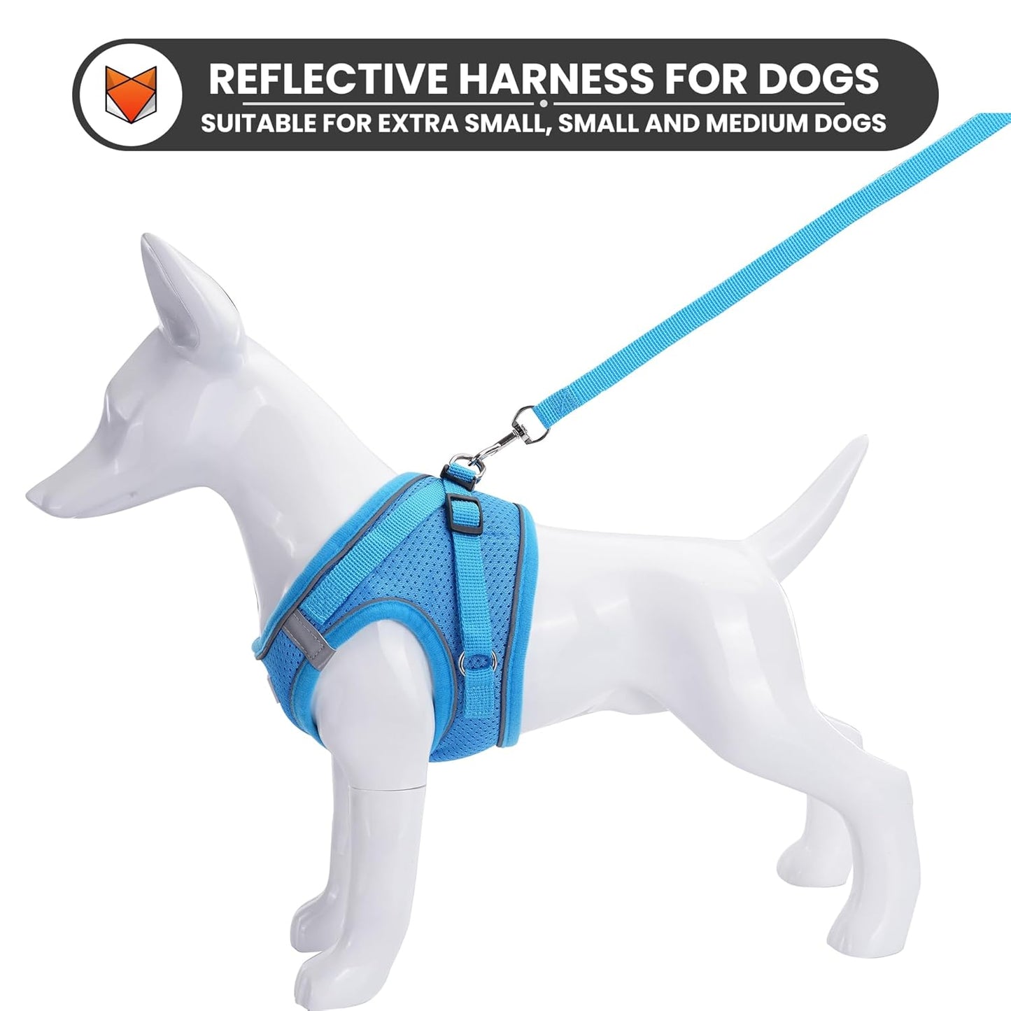Reflective Soft-Padded Dog & Cat Harness + 5ft Leash Set (4.5–7 kg, Blue)
