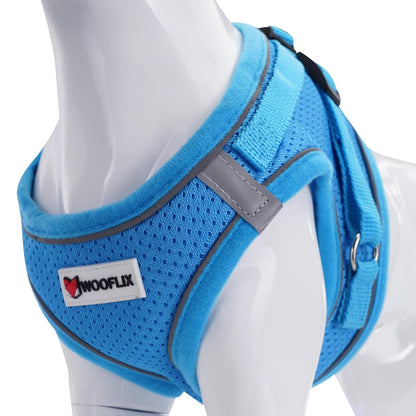 Reflective Soft-Padded Dog & Cat Harness + 5ft Leash Set (4.5–7 kg, Blue)
