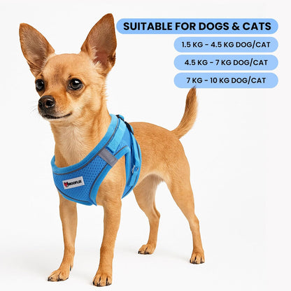 Reflective Soft-Padded Dog & Cat Harness + 5ft Leash Set (4.5–7 kg, Blue)