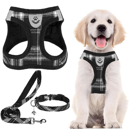 Reflective Mesh Harness, Collar + Leash Set (Size S, Chest 14.5–16 in, Black)