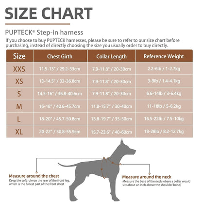 Reflective Mesh Harness, Collar + Leash Set (Size S, Chest 14.5–16 in, Black)