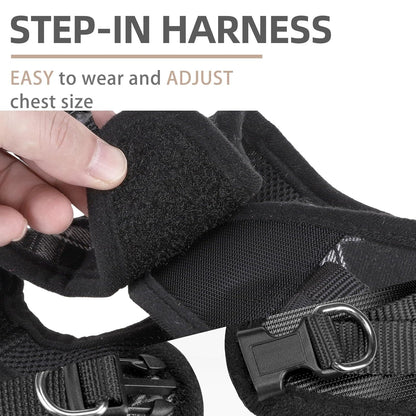 Reflective Mesh Harness, Collar + Leash Set (Size S, Chest 14.5–16 in, Black)