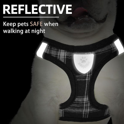 Reflective Mesh Harness, Collar + Leash Set (Size S, Chest 14.5–16 in, Black)