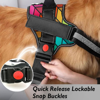 Personalized Reflective Dog Harness + Matching Leash Set (Small 5–12 kg) — Name & Phone Patch