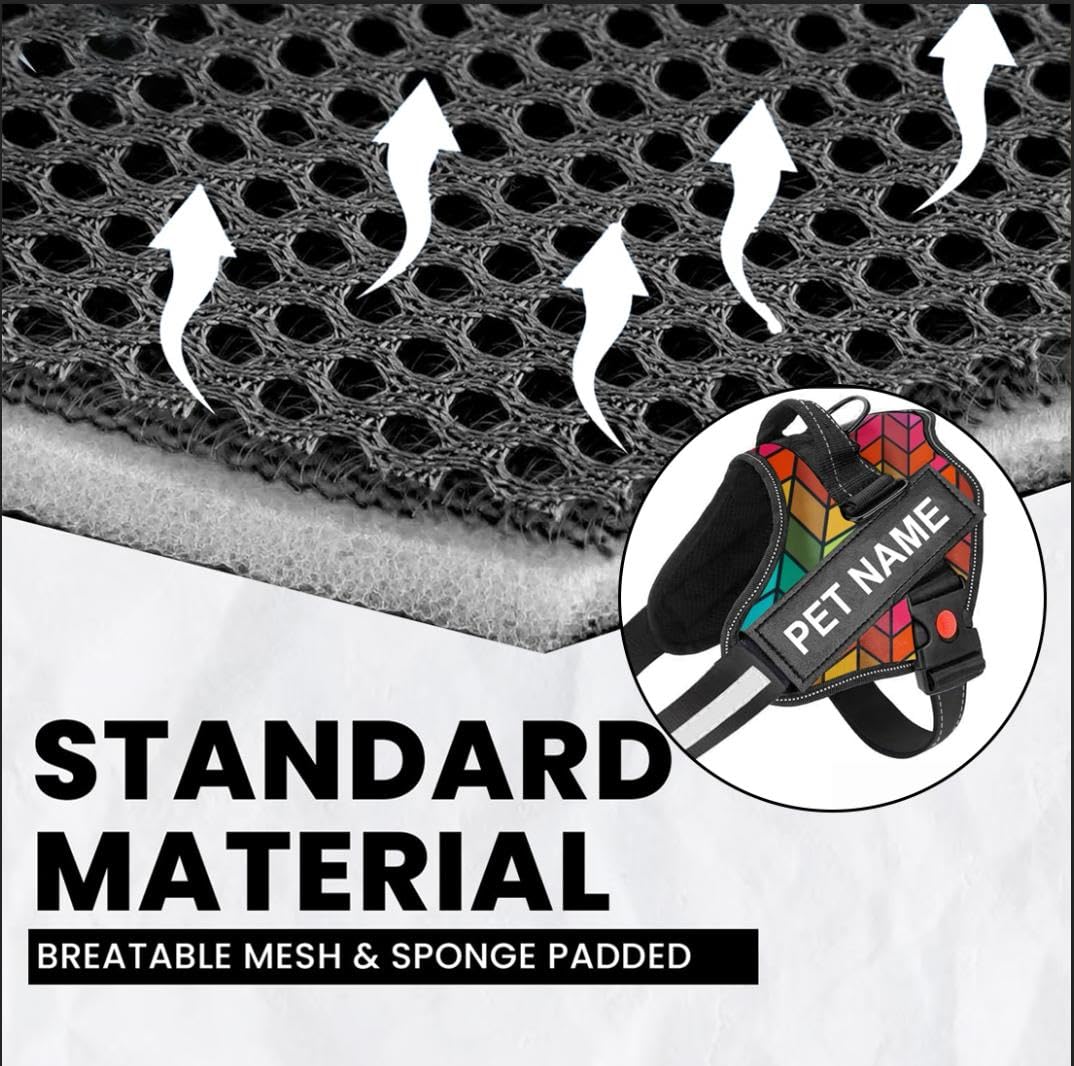 Personalized Reflective Dog Harness + Matching Leash Set (Small 5–12 kg) — Name & Phone Patch