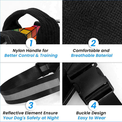 Personalized Reflective Dog Harness + Matching Leash Set (Small 5–12 kg) — Name & Phone Patch