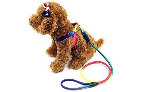 Rainbow Adjustable Step-In Dog Harness + Leash Set (Small)