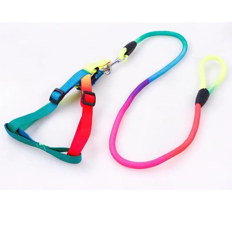 Rainbow Adjustable Step-In Dog Harness + Leash Set (Small)