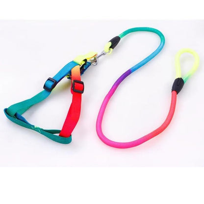 Rainbow Adjustable Step-In Dog Harness + Leash Set (Small)
