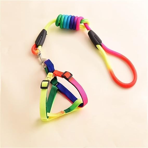 Rainbow Adjustable Step-In Dog Harness + Leash Set (Small)
