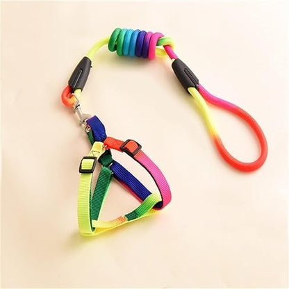 Rainbow Adjustable Step-In Dog Harness + Leash Set (Small)