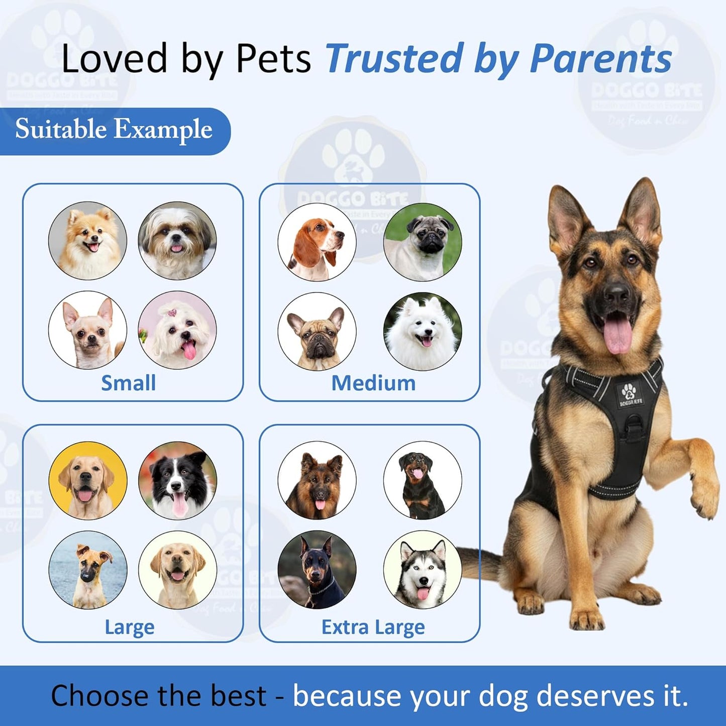 Reflective Heavy-Duty Dog Vest Harness + Leash Set (35–60 kg, Black)