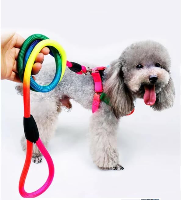 Rainbow Adjustable Step-In Dog Harness + Leash Set (Small)