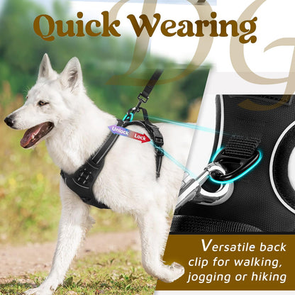 Reflective Heavy-Duty Dog Vest Harness + Leash Set (35–60 kg, Black)
