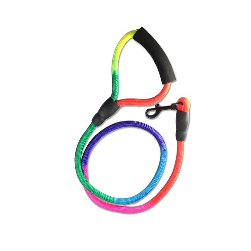 Rainbow Adjustable Step-In Dog Harness + Leash Set (Small)