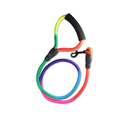 Rainbow Adjustable Step-In Dog Harness + Leash Set (Small)